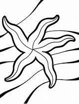 Starfish Print Color Coloring Pages sketch template