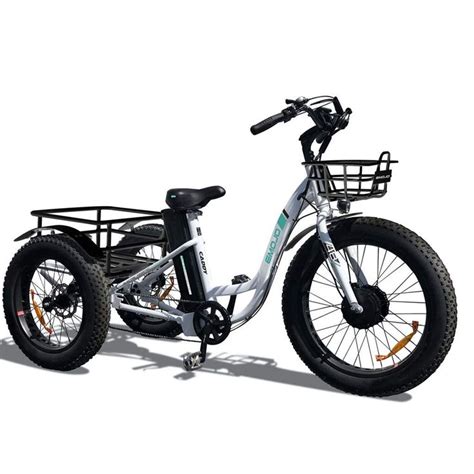 electric bike   lb person oda cal