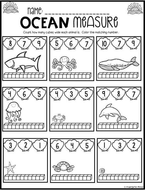 oceans worksheets  kindergarten ocean math  literacy worksheets