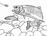 Trout Coloring Printable Pages Rainbow Drawing Fish Fishing Book Template Sheets Landscape Kids Adult Fly Drawings Patterns Books Adults Print sketch template