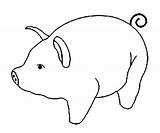 Coloring Pig Pages Kids sketch template