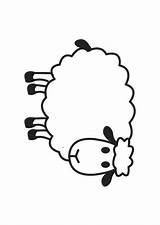 Zum Schafe Ausdrucken Malvorlagen Schaf Malvorlage Hirte Malen Vorlagen Nutrition Artikel Zimbanews Von Schäfchen Coloring Sheep sketch template