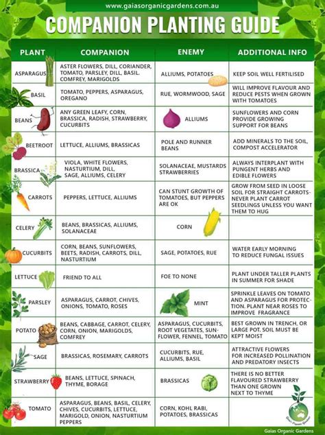 collection  companion planting charts guides  pdfs world water