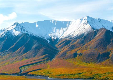 denali national park alaska travel guide