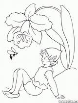 Colorare Colorear Disegni Coloring Elfi Bumblebee Hadas Duendes Elfen Colorkid Fairy Elves Trzmiel Malvorlagen Blumenwiese Bombo Abejorro Hummel Campanas Jugando sketch template
