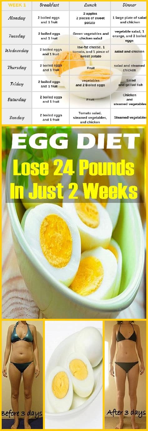 egg diet    results diet plan