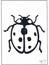 Coccinelle Coccinella Biedronka Kleurplaat Ladybird Beestje Insekter Insecten Joaninha Insectes Fargelegg Insetti Kleurplaten Coloriages Insects Owady Insectos Publicité Dyr Publicidade sketch template