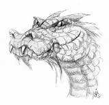 Smaug Tolkien Drawing Getdrawings Fantasy sketch template