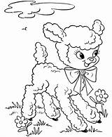 Easter Lamb Coloring Pages Colouring Color sketch template