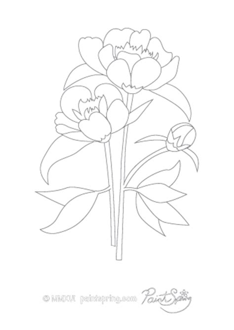 printable flower adult coloring book    pages