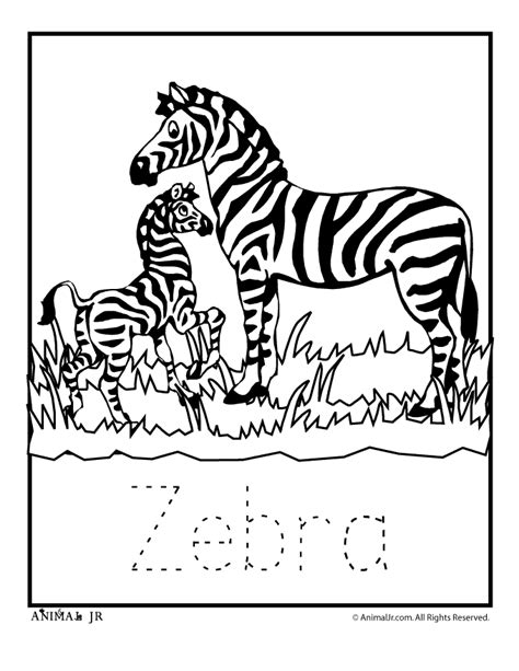 zoo animal coloring pages  letter writing practice