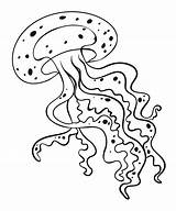 Outline Jellyfish Vector Animal Vecteezy sketch template
