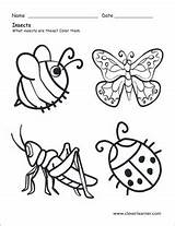 Insects Insect Worksheets Preschool Worksheet Coloring Sheet Science Bugs Color Animals Sheets Cleverlearner Six Legs Preschools Choose Board sketch template