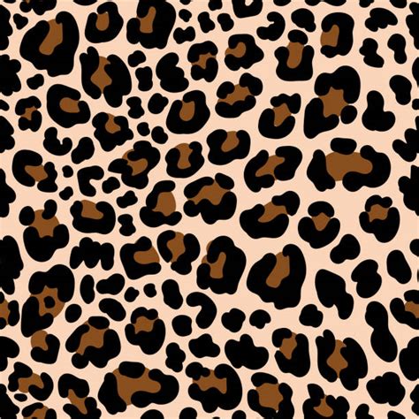 cheetah print stock  pictures royalty  images istock