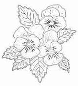 Pansy Pansies Embroidery Coming sketch template
