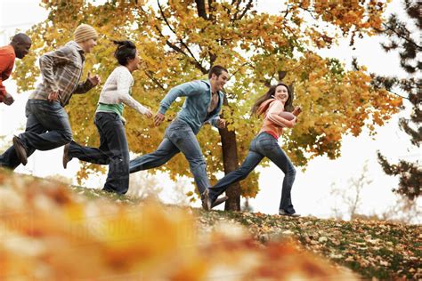 group  people adults  young people playing  game  football   autumn leaves
