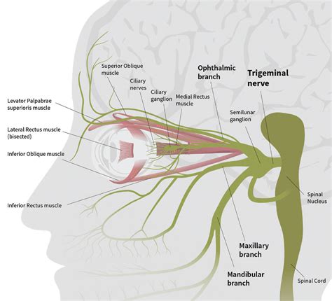 dry eye misalignment