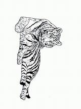 Tijger Felini Tigri Kleurplaat Kleurplaten Leoni Colorat Tigre Animale Animaatjes Mewarnai Malvorlagen P08 Macan Coloriages Moeilijk Animasi Planse Coloratutto Animierte sketch template