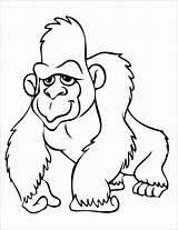Gorilla Gorilas Orangutan Gorila Colorir Gorillas Dibujo Gorillaz Coloringbay Clipartmag Godzilla Letzte Seite sketch template