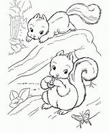 Flying Squirrel Coloring Getcolorings Fresh sketch template