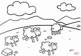 Sheeps Ausmalbilder Schaf Kilka Shaun Kolorowanka Ausmalen sketch template