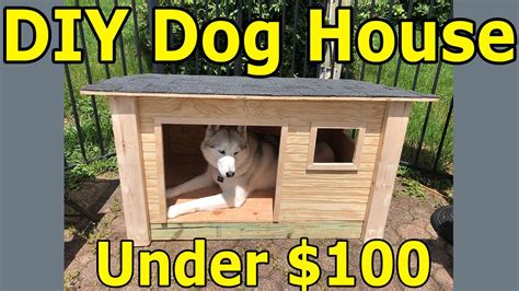 doghouse   husky    youtube
