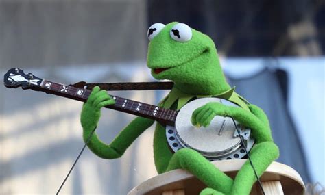 kermit  frog honoured     amphibian archived    library  congress