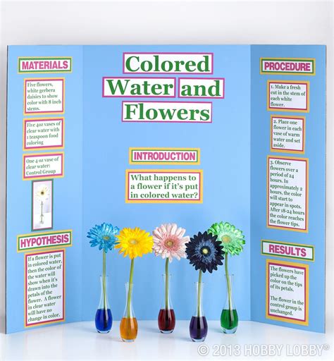 science fair projects color changing flowers google search