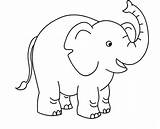 Elephant Coloring Pages Kids Drawing Easy Colouring Preschool Printable Circus Mandala Color Colour Elephants Animal Animals Sketch Print Getcolorings Drawings sketch template