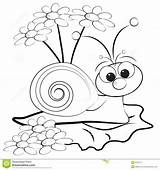Snail Coloring Pages Snails Kids Getcolorings Printable Color Getdrawings sketch template