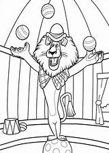 Madagascar Coloring Pages Fun Kids Votes sketch template