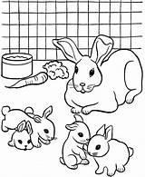 Rabbit Hasenfamilie Hase Hasen Crias Ausmalbild Rabbits Kaninchen Kelinci Diwarnai Sketsa Lucu Mudah Conejo Dover Coloringhome sketch template