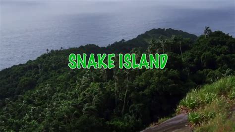 mysterious island  deadly island brazil snake island youtube