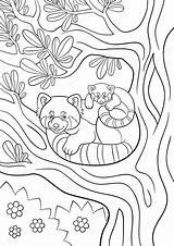 Panda Mayka sketch template