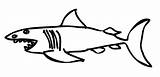 Shark Coloring Drawing Pages Clipart Lemon Template Kids Printable Sharks Clip Cliparts Print Angry Library Nels Sad Getdrawings Alaska Stories sketch template