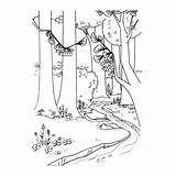 Forest Nature Coloring Printable Pages Coloriage Forêt Kb sketch template