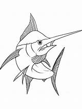 Marlin Coloring Pages Swordfish Printable Getdrawings Getcolorings Color sketch template