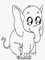 Gajah Kunjungi Coloring Animal sketch template