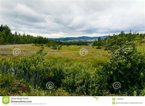 Summer Countryside Landscape On A Cloudy Day Stock Image