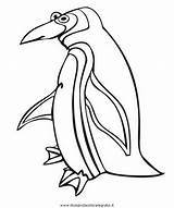 Pinguino Disegno Pinguini Penguins Colorare Disegnidacoloraregratis sketch template
