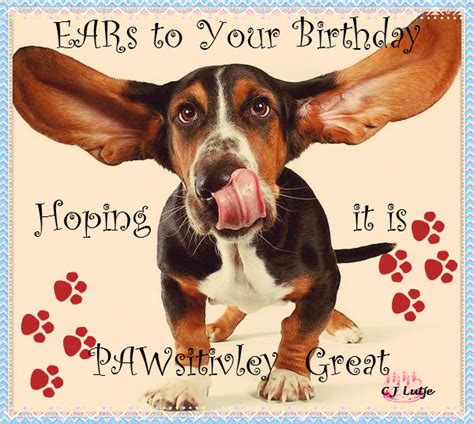 ears to your birthday hoping it is pawsitivley great happy birthday