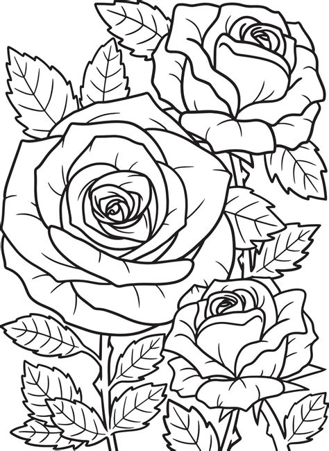 rose flower coloring page  adults  vector art  vecteezy