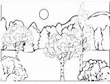 Coloring Pages Forest Habitat Rainforest Enchanted Printable Getcolorings Color Animal Getdrawings Colorings Print Colouring Kinde sketch template