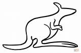 Kangaroo Outline Coloring Pages Printable Clipart Drawing Clip Kangaroos Color Supercoloring Online Puzzle Dot Categories sketch template