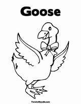 Goose Colorir Gansos Ganso Patos Computador Acima sketch template