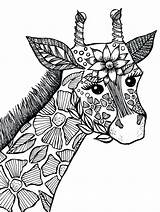 Coloring Animal Pages Kids Zen Giraffe sketch template
