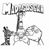 Madagascar Coloring Pages Choose Board sketch template