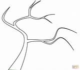 Coloring Bare Tree Pages Printable Trees Drawing sketch template