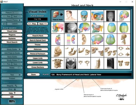 netter interactive atlas  human anatomy   direct link