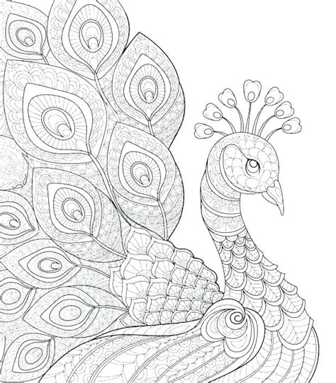 coloring pages  adults peacock  getdrawings